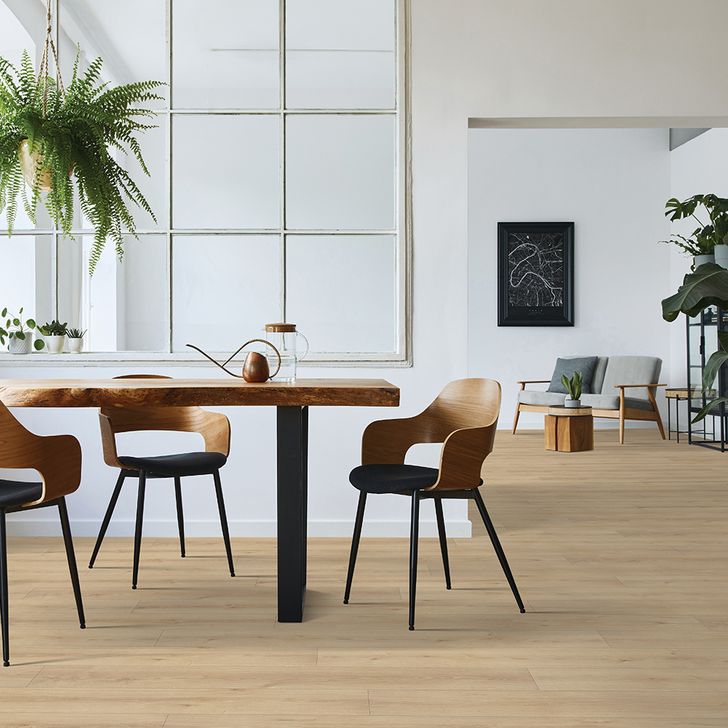 Beaulieu Canada Résidentiel Laminé Barbarossa xtra 1734