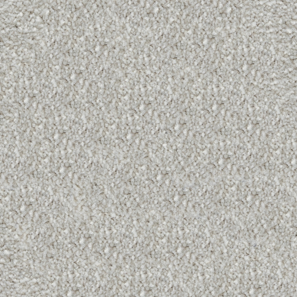 Beaulieu Canada Residential Carpet Spartacus a4531