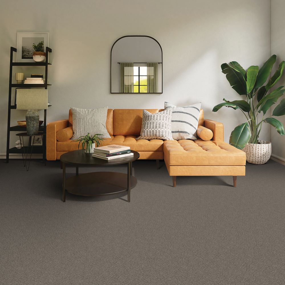 Beaulieu Canada Residential Carpet Serene Ambiance j4756