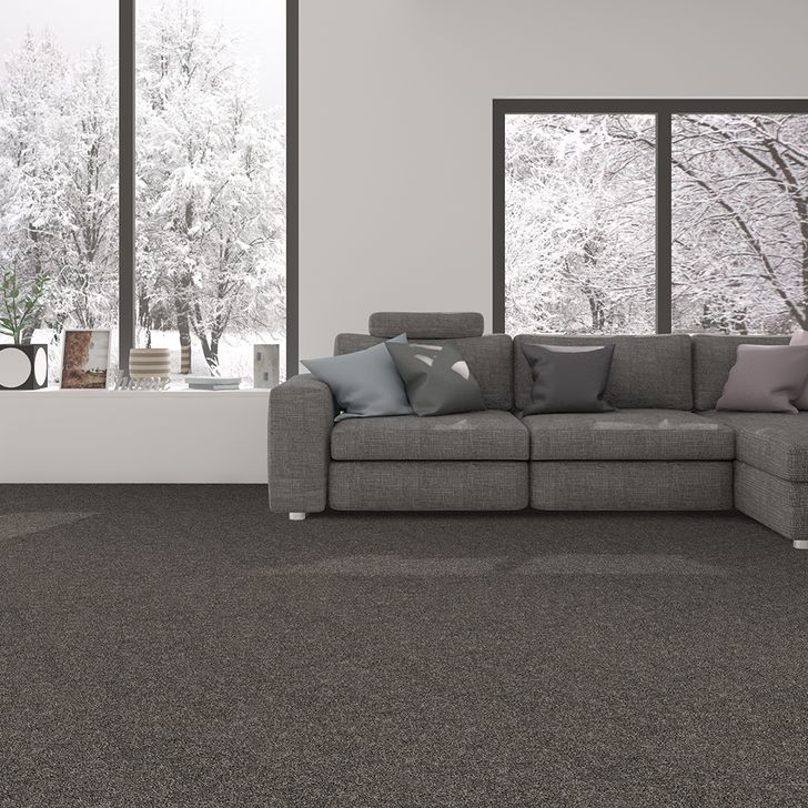 Beaulieu Canada Résidentiel Tapis Sommet a4825