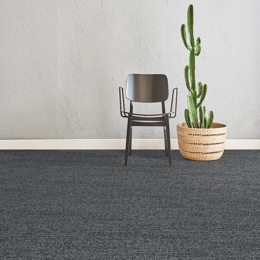 Beaulieu Canada Builder Carpet Tectonic ttec