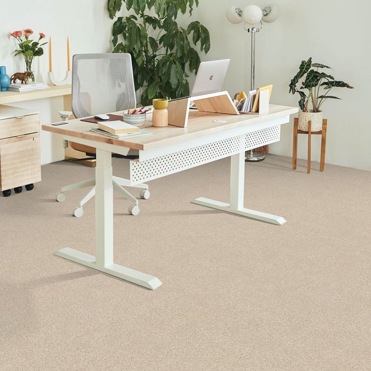 Beaulieu Canada Résidentiel Tapis Ambiance chaleureuse j4976