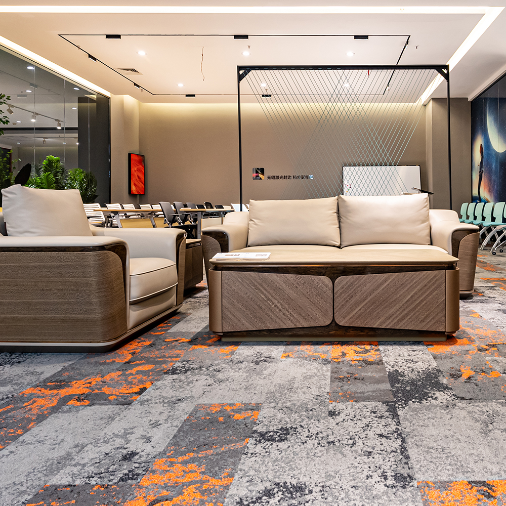 Beaulieu Canada Logements pour aînés Tapis Misty tmis