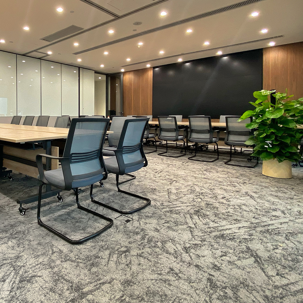Beaulieu Canada Logements pour aînés Tapis Thrive tthr